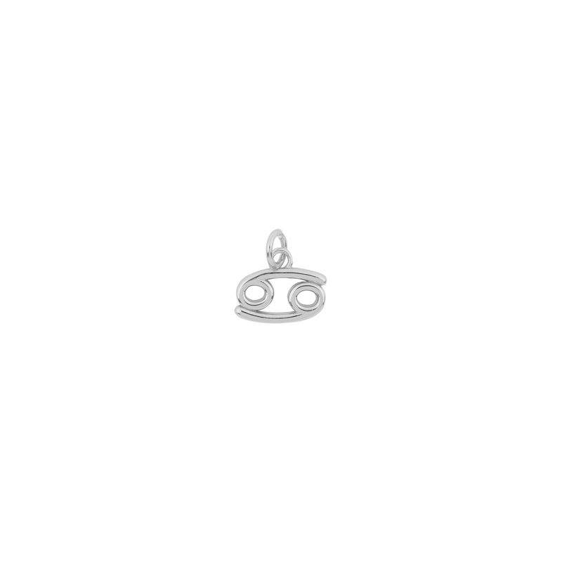 COLGANTE ZODIAC PLATA | BOAZ JOYAS